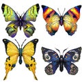 Set of four brightly coloured butterflies