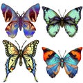 Set of four brightly coloured butterflies