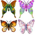 Set of four brightly coloured butterflies