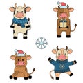 Set with four bulls in winter clothes. Collection of animal characters with outline. Cartoon vector illustration. Royalty Free Stock Photo