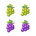 Set of four bunches of grapes. Fruit flat icons
