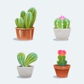 Set of four cactus in flower pot. Home plants