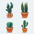 Set of four cactus in flower pot.