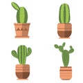 Set of four cactus with in pots with plants isolate