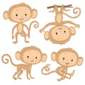 Set of four cartoon monkeys