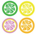 Set for four color slices lemon ,orange ,lime and pink lemon