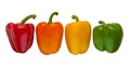 Set of four color sweet peppers