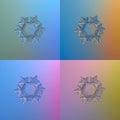 Set with four color variants of real snowflake