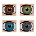 Set- Four common eyeball colors