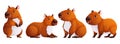 Set of four cute capybaras. Adult capybaras in different poses. Wild animals of South America. Vector cartoon style