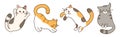 Set of four cute cats. Feline animal Character for children and pet shops. Gray, red, tricolor and tabby kittens. Royalty Free Stock Photo