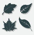 Set of four decorative leafs icons with shadow.