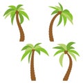 Set of four different cartoon palm trees isolated on white background Royalty Free Stock Photo