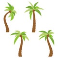 Set of four different cartoon palm trees isolated on white background Royalty Free Stock Photo