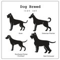 Set of four dog breeds icons