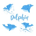 Set of four dolphins jumping with water splash. Hand texture lettering. Vector illustration. Logo Royalty Free Stock Photo