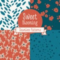 Set of four floral seamless patterns Royalty Free Stock Photo