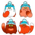Set of four funny cats in winter hat