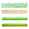 Set of Four Grass Watercolor Borders