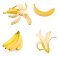 Set of four isolated bananas