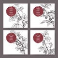 Set of four labels with Black currant, Red currant, Raspberry and Gooseberry sketch. Berry fruits series.