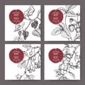 Set of four labels with garden strawberry, black mulberry, Hawthorn and Blackthorn sketch.
