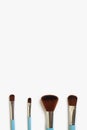 A set of four makeup brushes of different shapes on a white background