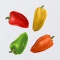 Set of four peppers. Yellow, red green and orange pepper Realistic Vector illustration of paprika Royalty Free Stock Photo