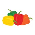 Set of four peppers. Yellow, red, orange and green pepper. Royalty Free Stock Photo