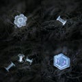 Set with four photos of real snowflakes on dark textured background Royalty Free Stock Photo