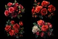 a set of four pictures, a bouquet of various bright colors, on a black background. Royalty Free Stock Photo