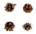 Set of four pine cones on a white background, isolated. Royalty Free Stock Photo