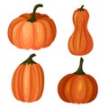 Set of four pumpkins in a cartoon style. A set for Halloween. Collection for Thanksgiving