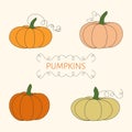 Set of four pumpkins. Vector illustration of autumn ripe cozy squash. Thanksgiving day background. Hygge time. Halloween party