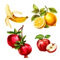 Set of four ripe fruits banana, lemon, apple and pomegranate, watercolor isolated illustration on a white background Royalty Free Stock Photo