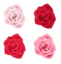 Set of four roses of various colors