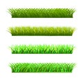 A set of four rows of fresh grass