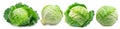 Set of four savoy cabbages  isolated on white background Royalty Free Stock Photo