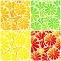 Set of four seamless citrus fruit background Royalty Free Stock Photo