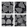 Set of four seamless patterns with skeleton leaves. Royalty Free Stock Photo
