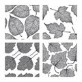 Set of four seamless patterns with skeleton leaves. Royalty Free Stock Photo