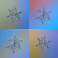 Set with four snowflakes on bright gradient background