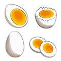 A set of four soft-boiled eggs - half, in shell, sliced and whole. Vector stock illustration in flat cartoon style on a Royalty Free Stock Photo