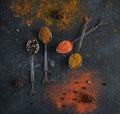 Set of four teaspoons with spices Royalty Free Stock Photo