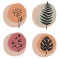 Set of four trendy floral illustrations on abstract background. Plant leaf