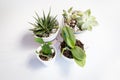 Set of four vases with succulent plants and cactuses on a white table, seen from above, top view