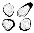 Set of four vector tree rings background and saw cut tree trunk. Grayscale wooden stump isolated on white.