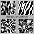 Set of four zebra seamless patterns collection