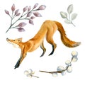 Set of fox and forest plants watercolor illustration isolated on white.