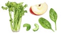 Set of frech celery with apple, spinach watercolor illustration isolated on whitre background